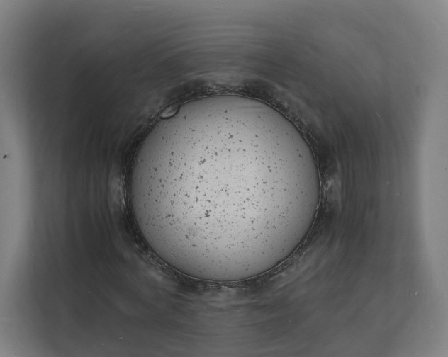 X0000112150772200908211413