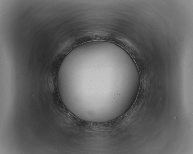 X0000112150774200908211413