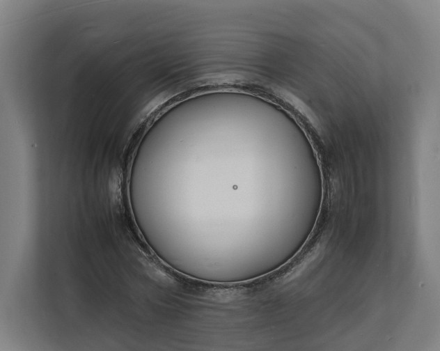 X0000112150778200908211413