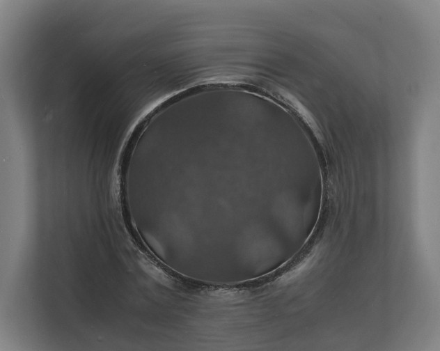 X0000112150779200908211413