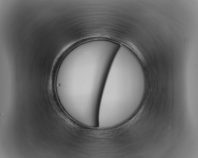 X0000112150780200908211413