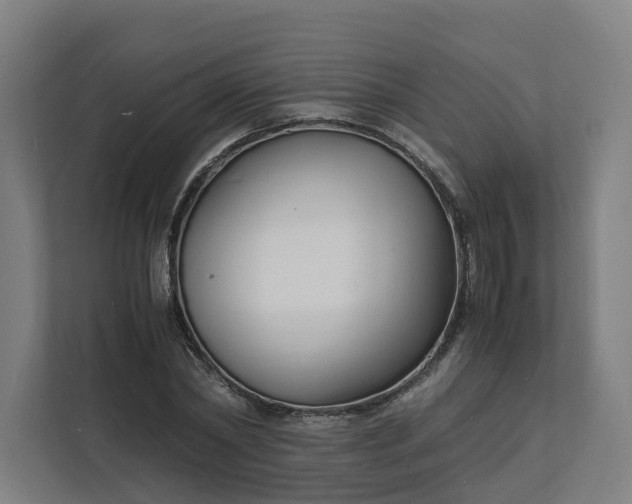 X0000112150782200908211413
