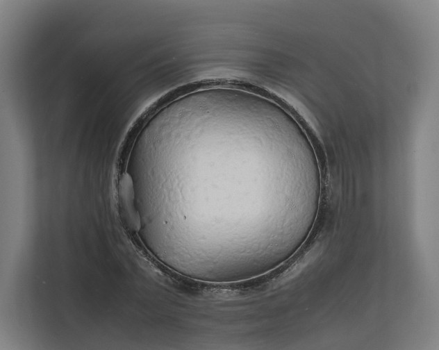 X0000112150783200908211413