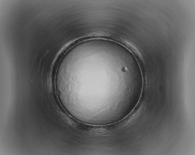X0000112150784200908211413