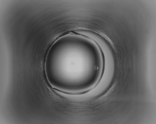 X0000112150785200908211413
