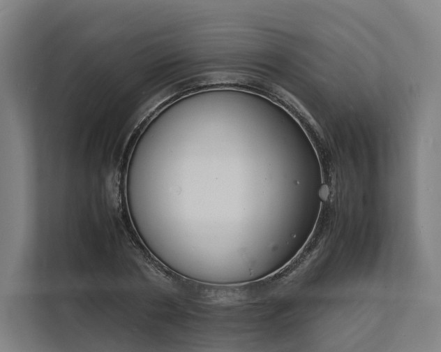 X0000112150786200908211413