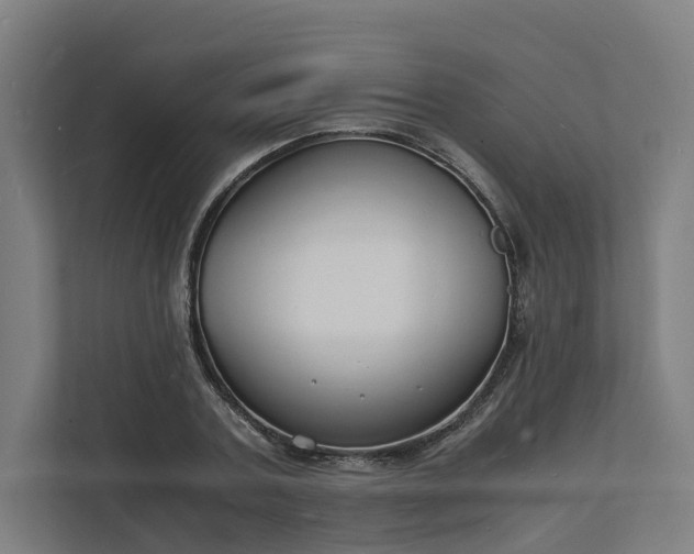 X0000112150787200908211413