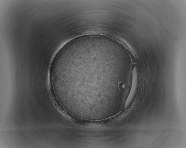 X0000112150788200908211413