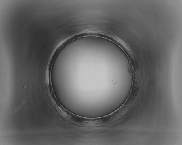 X0000112150791200908211413