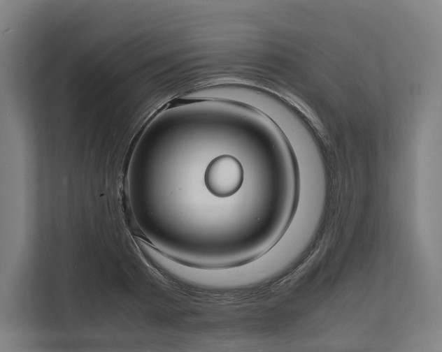 X0000112150793200908211413