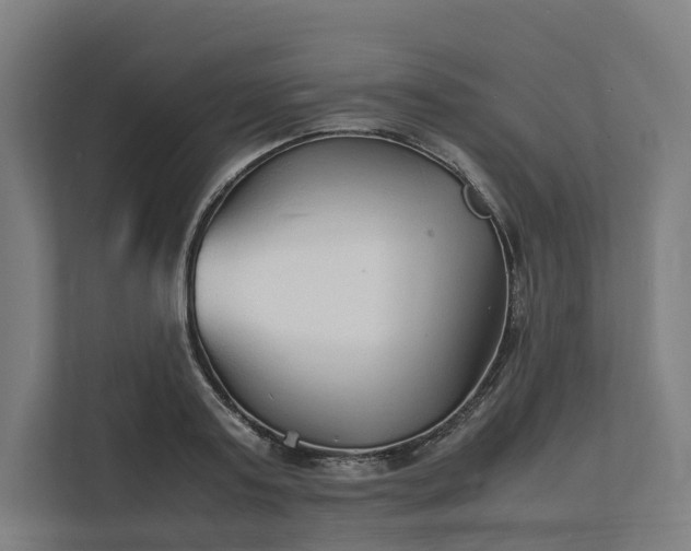 X0000112150795200908211413
