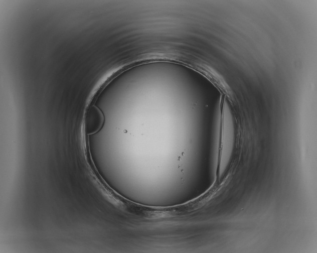 X0000112150796200908211413