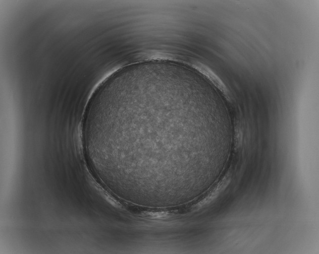 X0000112150798200908211413