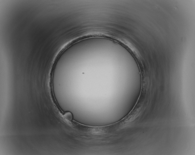 X0000112150799200908211413