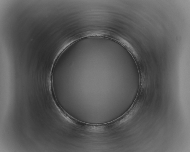X0000112150802200908211413