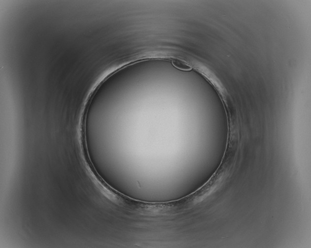 X0000112150803200908211413