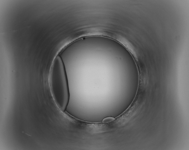 X0000112150805200908211413