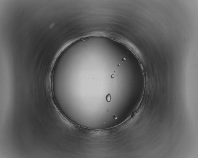 X0000112150808200908211413
