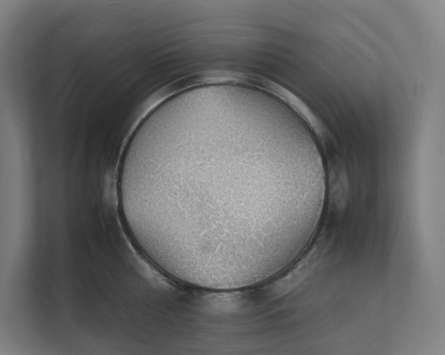 X0000112150810200908211413