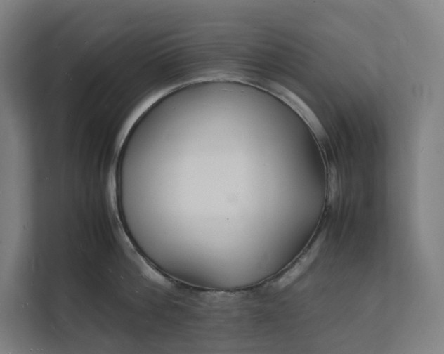 X0000112150812200908211413