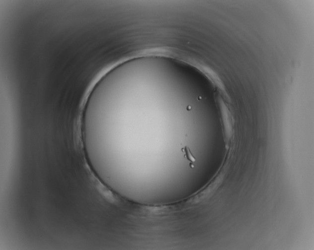 X0000112150816200908211413