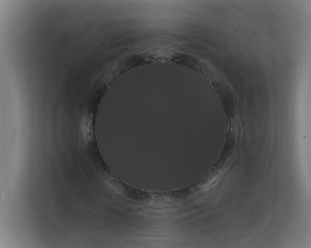 X0000112150818200908211412