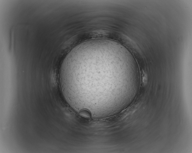X0000112150819200908211412