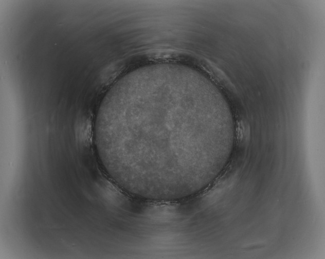 X0000112150820200908211412