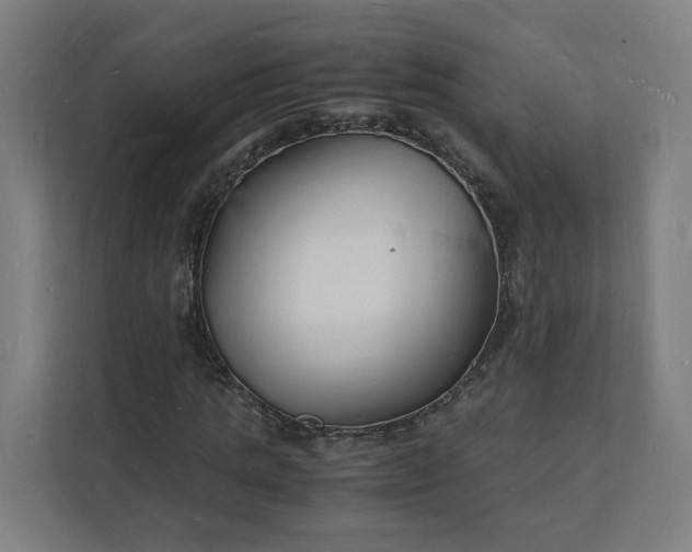 X0000112150821200908211412