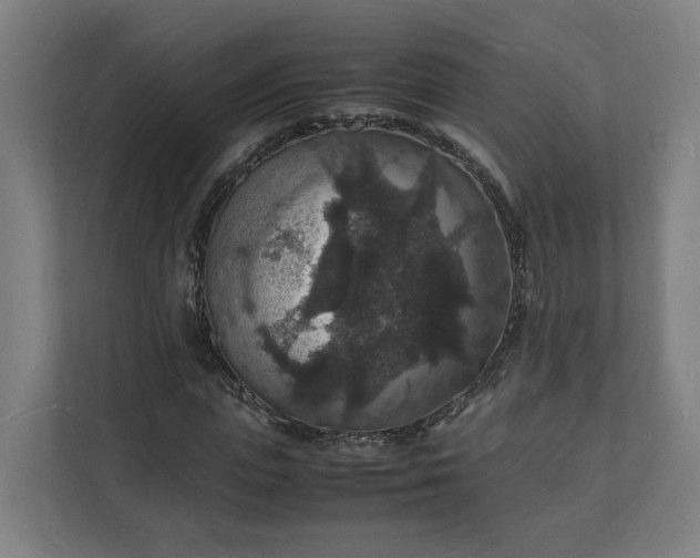 X0000112150823200908211412