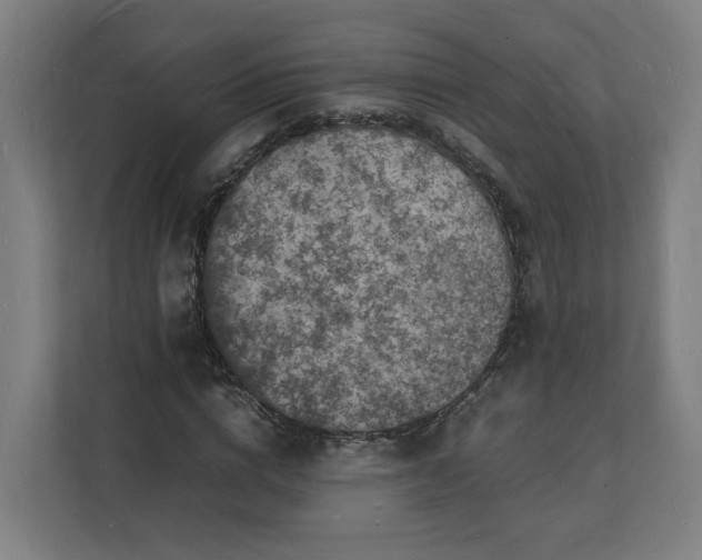 X0000112150824200908211412