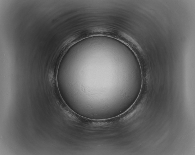 X0000112150825200908211412