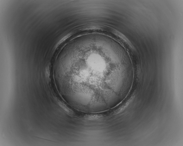 X0000112150826200908211412
