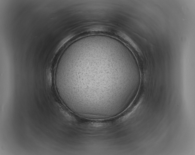 X0000112150829200908211412