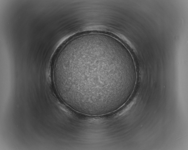 X0000112150830200908211412