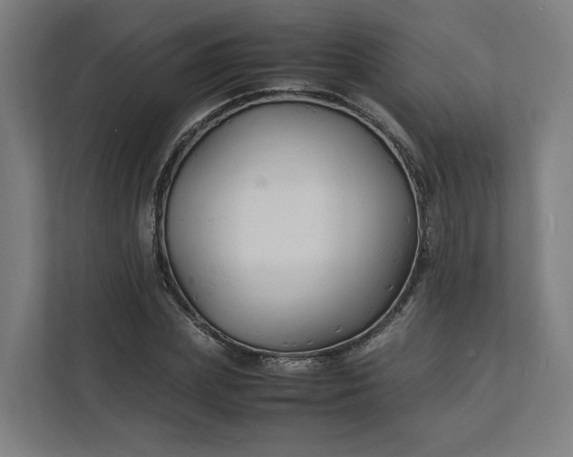 X0000112150831200908211412