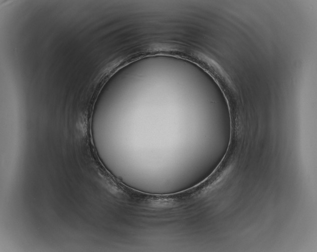 X0000112150833200908211412