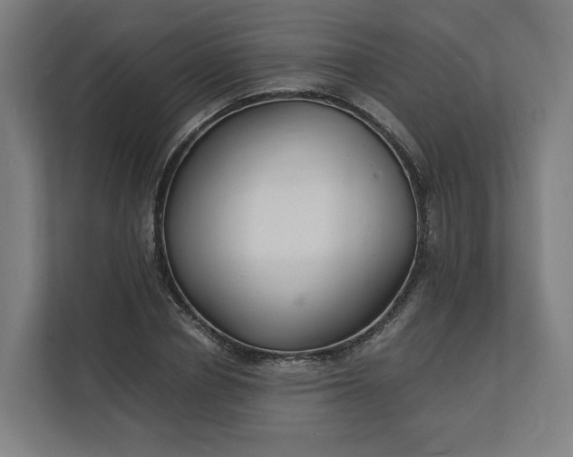 X0000112150834200908211412