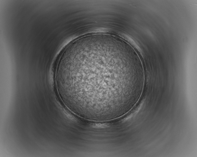 X0000112150835200908211412