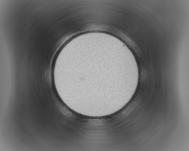 X0000112150836200908211412