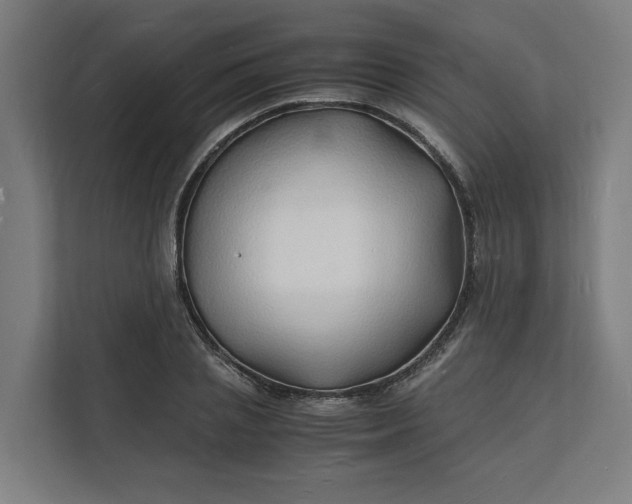X0000112150837200908211412