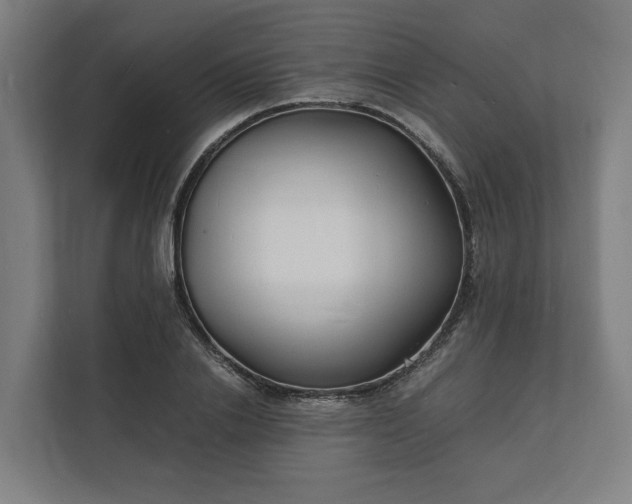 X0000112150838200908211412