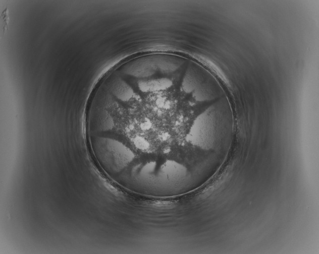 X0000112150839200908211412