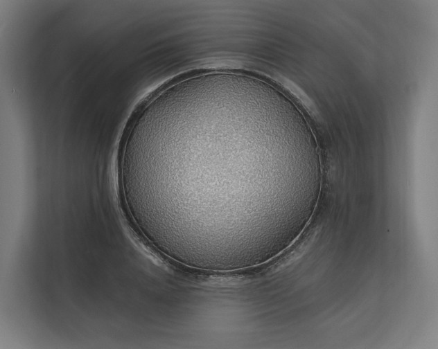 X0000112150840200908211412