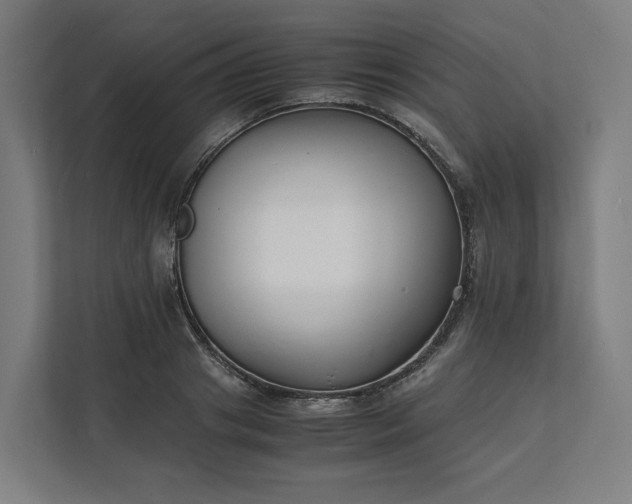 X0000112150841200908211412