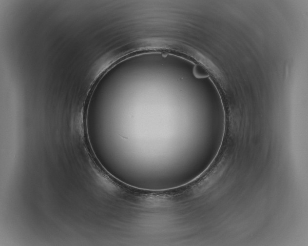X0000112150842200908211412
