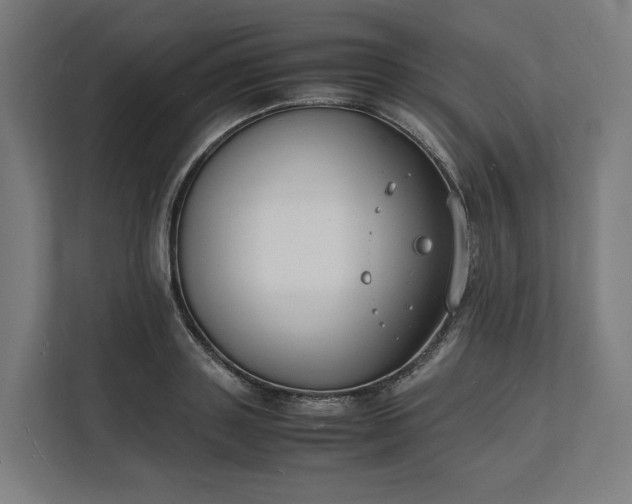 X0000112150843200908211412