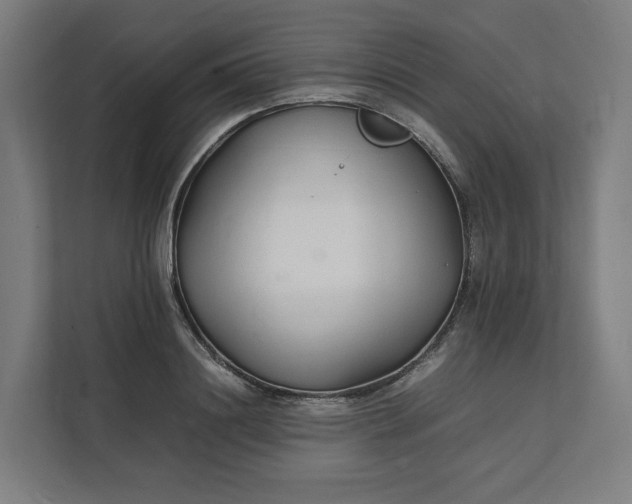 X0000112150844200908211412