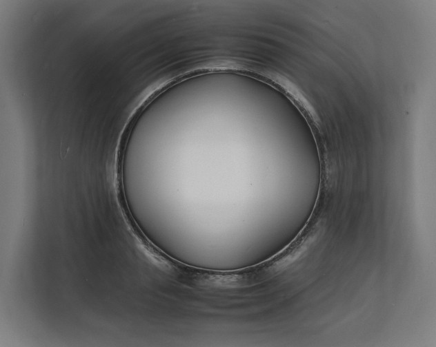 X0000112150845200908211412