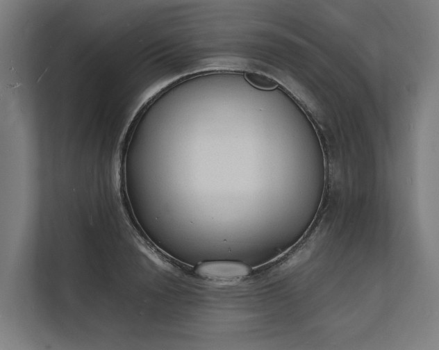 X0000112150846200908211412